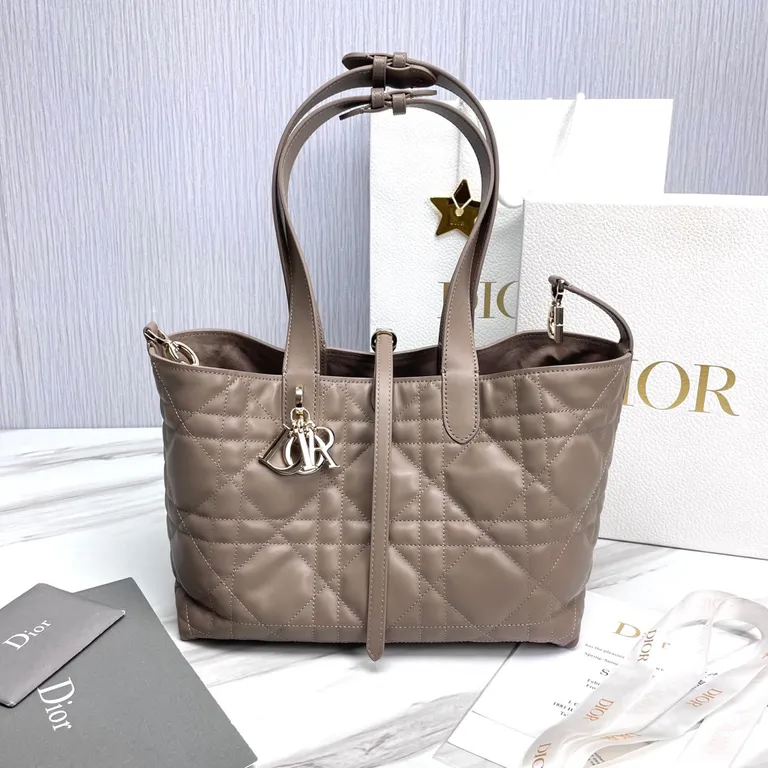 Dior Bag 